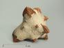 Глендонит (беломорская рогулька), 8-10 см, 4801, фото 2