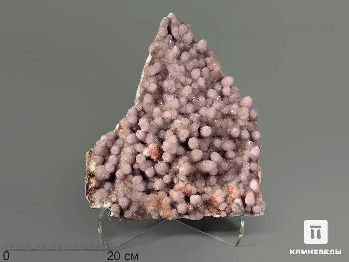Друза сталактитовидного аметиста, 43х37х9 см, 6499, фото 1