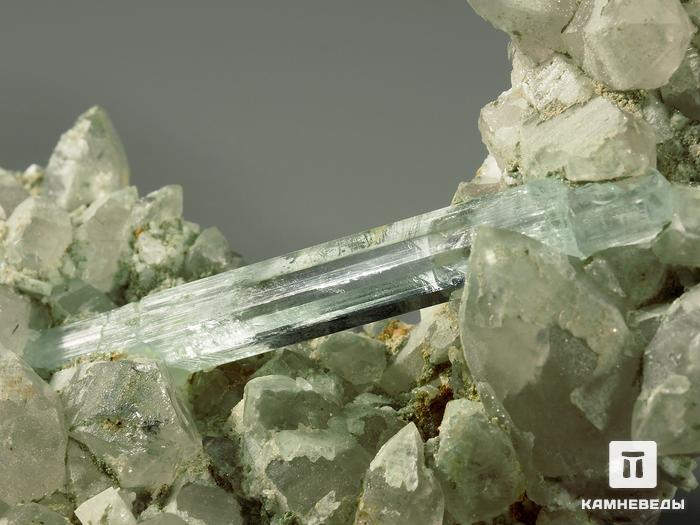 Аквамарин, кристалл на кварце 11,4х10,1х2,5 см, 6927 (К-30), фото 4