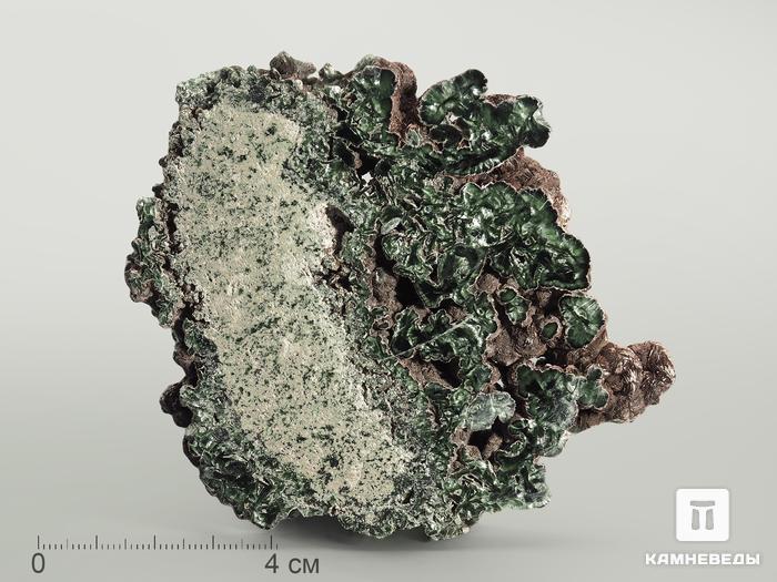 Клинохлор (серафинит), полированный срез 9-10 см, 7027, фото 3