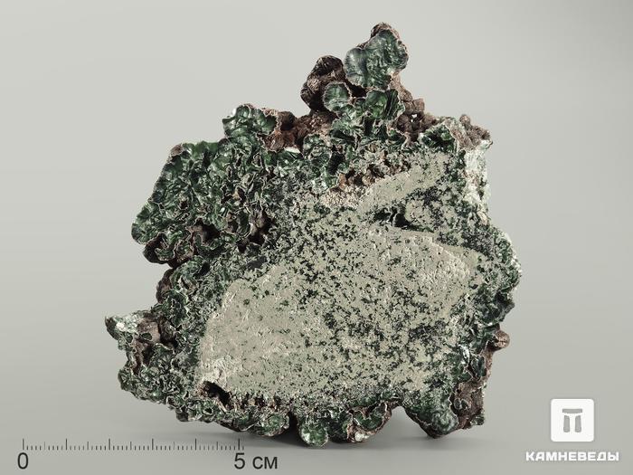 Клинохлор (серафинит), полированный срез 10-11 см, 7029, фото 1