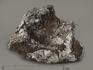 Метеорит Кампо-дель-Сьело, 6х4,3х1,6 см, 7126, фото 1