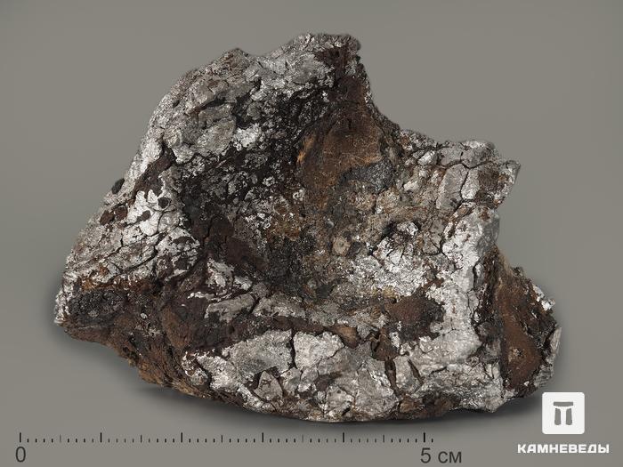 Метеорит Кампо-дель-Сьело, 6х4,3х1,6 см, 7126, фото 1