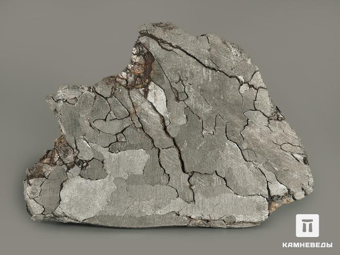 Метеорит Кампо-дель-Сьело, 6х4,3х1,6 см, 7126, фото 2