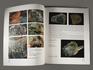 Журнал: В мире минералов. Том 18, выпуск 1, 2013, 95-36, фото 2