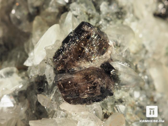 Титанит с кристаллами кальцита, 9,3х7,9х7,3 см, 7276, фото 4