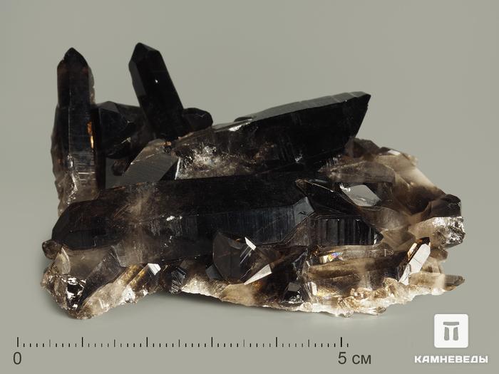 Раухтопаз (дымчатый кварц), друза 6-8 см, 7527, фото 1