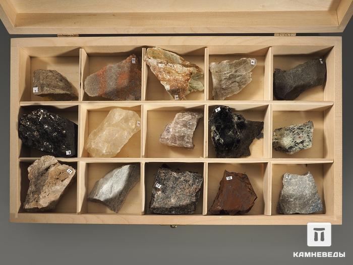 Коллекция неметаллических полезных ископаемых (15 образцов, состав №1) в деревянной коробке, 8396, фото 2