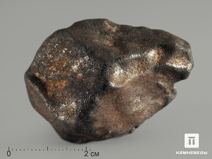 Метеорит Челябинск LL5, 50,48 г, 8339, фото 2