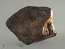 Метеорит Челябинск LL5, 19,69 г, 8334, фото 1