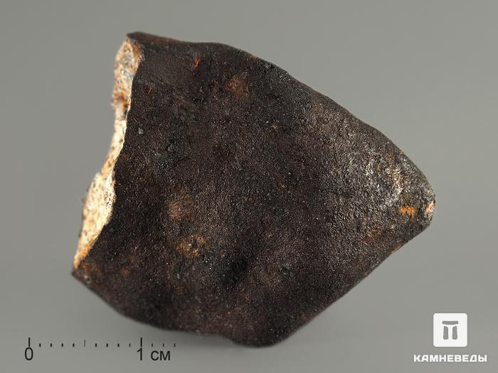 Метеорит Челябинск LL5, 19,69 г, 8334, фото 2