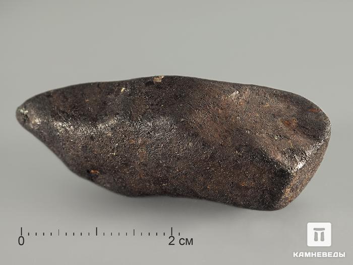 Метеорит Челябинск LL5, 15,64 г, 8336, фото 1