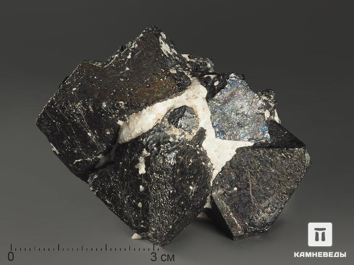 Магнетит, кристалл 5-6 см, 10-189/25, фото 1