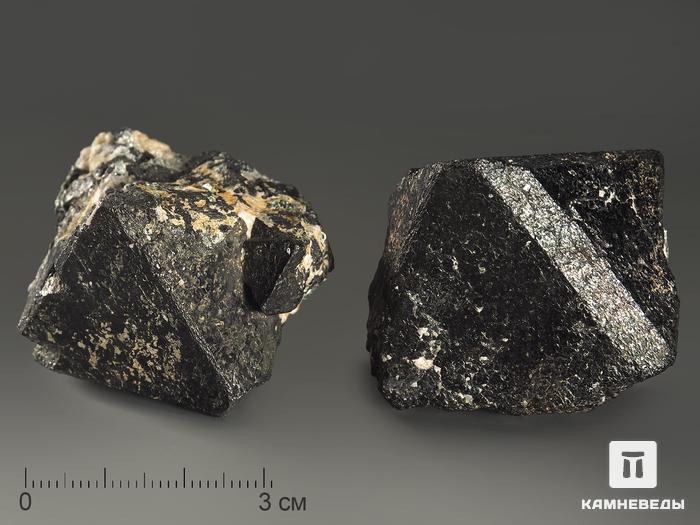 Магнетит, кристалл 5-6 см, 10-189/25, фото 2
