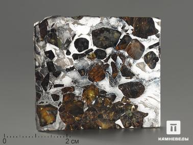 Метеориты, Оливин. Метеорит «Сеймчан» с оливином, пластина 4,2х3,8х0,3 см (24,2 г)