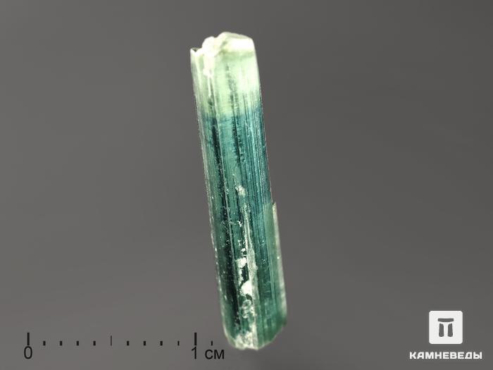 Турмалин (индиголит), кристалл 2х0,4 см, 9447, фото 4