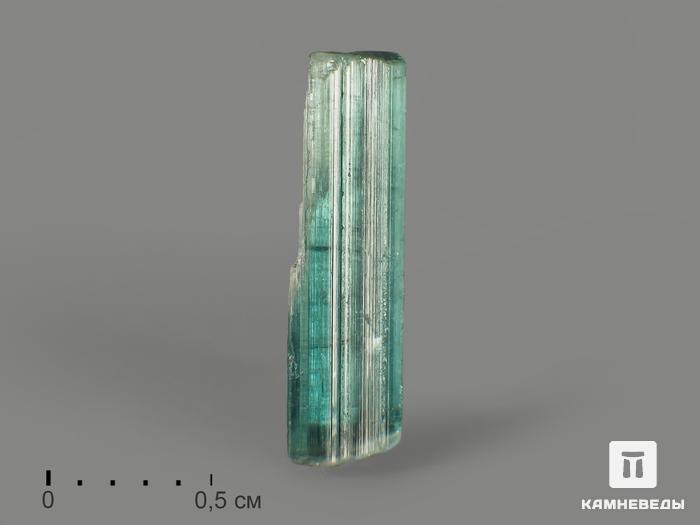 Турмалин (индиголит), кристалл 1,3х0,4 см, 9440, фото 2