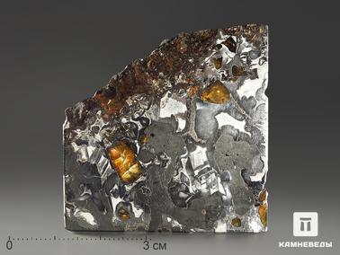 Метеориты, Оливин, Хромит. Метеорит «Сеймчан» с оливином и хромитом, пластина 4,8х4,7х0,2 см (25,3 г)