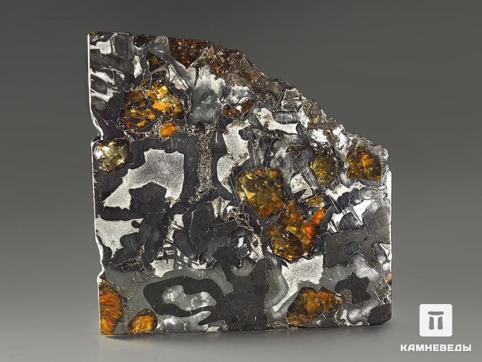 Метеорит «Сеймчан» с оливином и хромитом, пластина 4,8х4,7х0,2 см (25,3 г), 11-15/1, фото 2