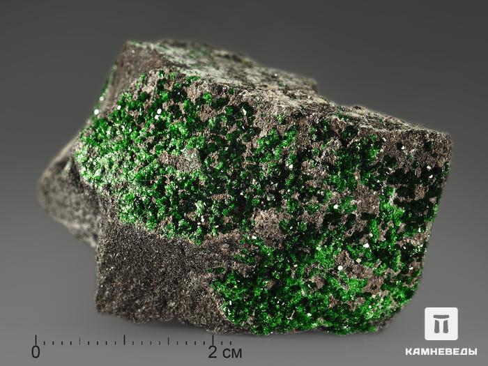 Уваровит (зелёный гранат), 5х4х2,9 см, 9-073/3, фото 4