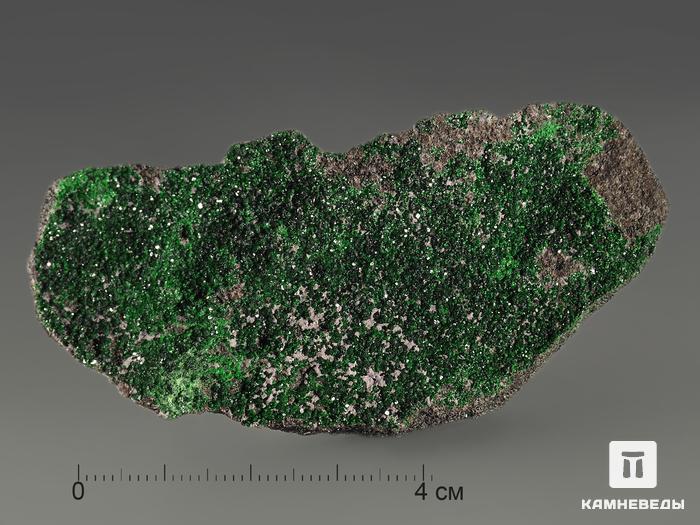 Уваровит (зелёный гранат),7,3х3,2х1,5 см, 10-111/17, фото 3