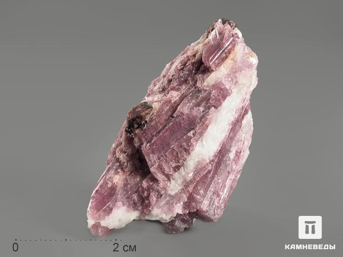 Турмалин (рубеллит) в кварце, 3,5-4,5 см, 10-76, фото 1