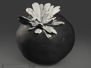 Целестин, Аргиллит. Целестин на аргиллите «хризантемовый камень», 13,2х13х12,5 см