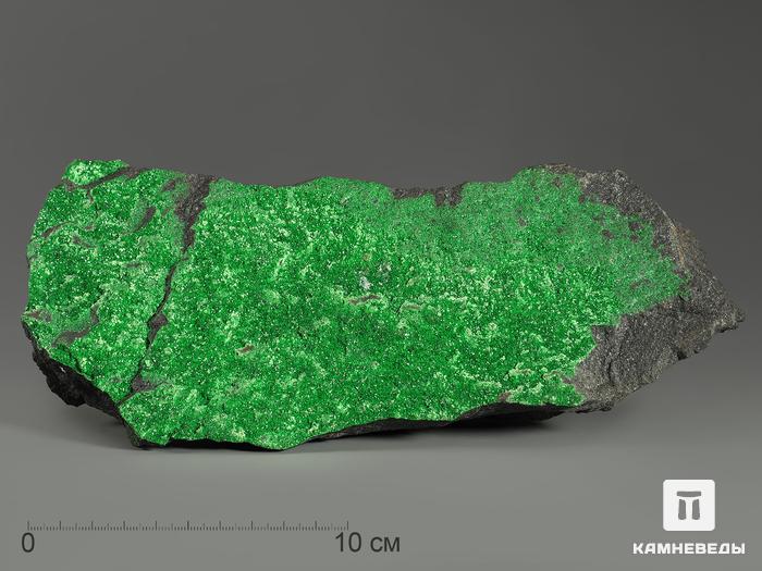 Уваровит (зелёный гранат), 24х9,5х6,5 см, 10-111/5, фото 1