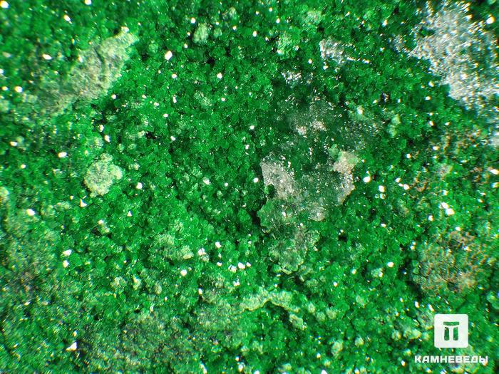 Уваровит (зелёный гранат), 24х9,5х6,5 см, 10-111/5, фото 2