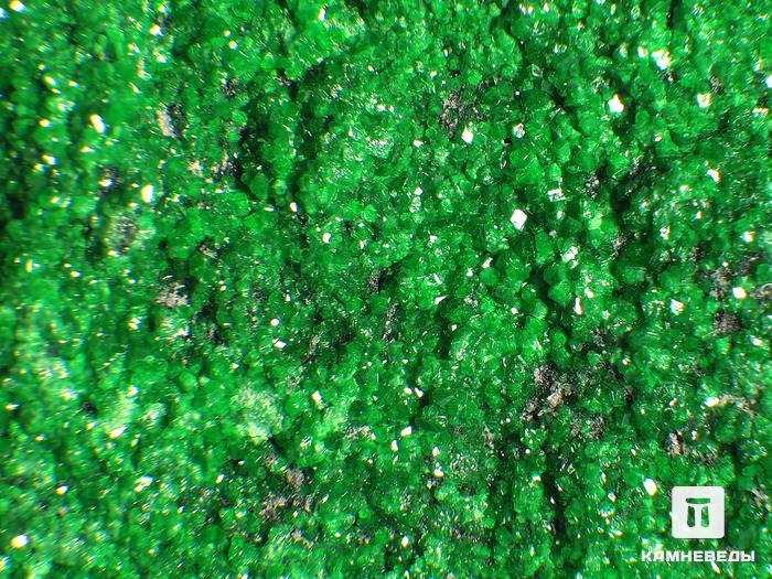 Уваровит (зелёный гранат), 14х8,9х6,2 см, 10-111/21, фото 2