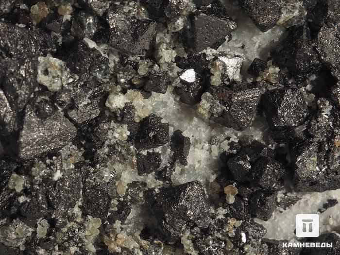 Магнетит, сросток кристаллов 11,1х6,1х5,2 см, 10-189/3, фото 2