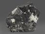 Магнетит, сросток кристаллов 7х6,3х5,6 см, 10-189/12, фото 2