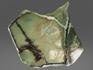 Нефрит моховой, полированный срез, 26,7х25,8х1,4 см, 11658, фото 2