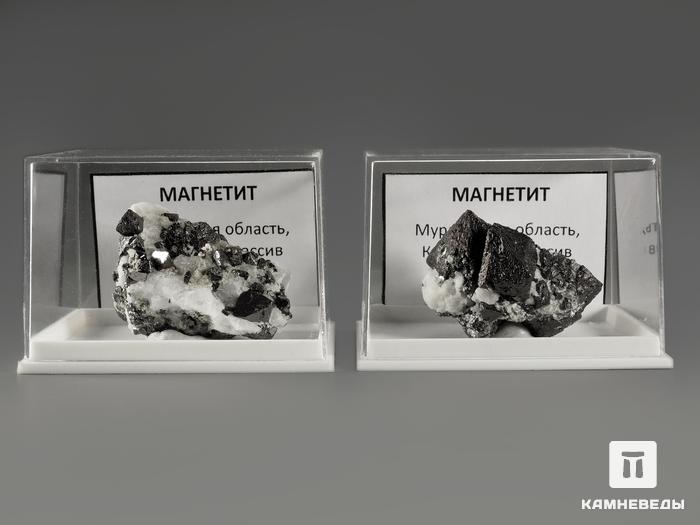 Магнетит в пластиковом боксе, 3-4 см, 11503, фото 6