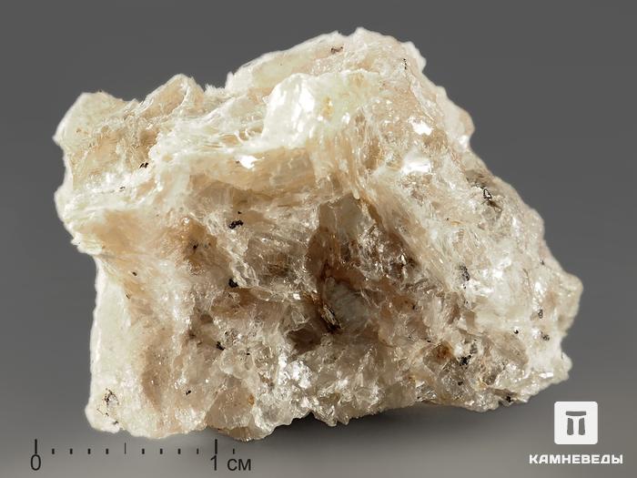 Алюминоселадонит в пластиковом боксе, 2-3 см, 11485, фото 1