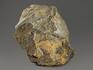 Строматолиты Gaya irkuskanica из Бакала, 15,1х10,6х3,9 см, 12120, фото 2