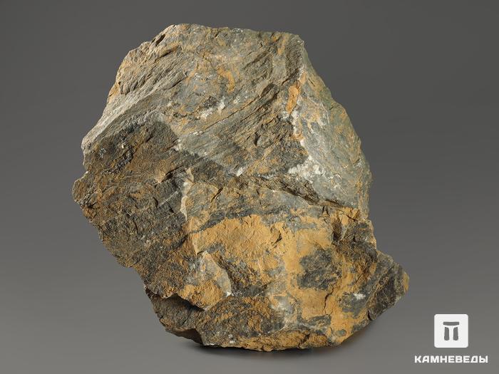 Строматолиты Gaya irkuskanica из Бакала, 15,1х10,6х3,9 см, 12120, фото 2