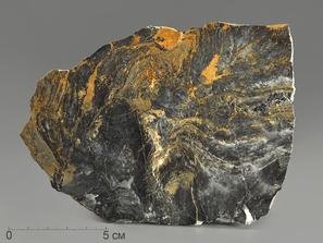 Строматолиты Gaya irkuskanica из Бакала, 16,4х11,5х5,4 см