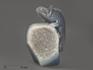 Хамелеон из агата с жеодой кварца, 13,6х9,3х5,1 см, 12750, фото 1