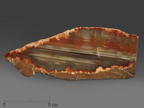 Агат (халцедоновый оникс), полированный срез 17,4х6,8х0,5 см