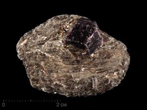 Гранат, Альмандин, Мусковит. Гранат (альмандин), кристалл на мусковите 4,8х3,4х1,9 см