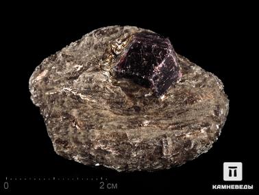 Гранат, Альмандин, Мусковит. Гранат (альмандин), кристалл на мусковите 4,8х3,4х1,9 см
