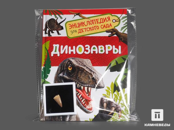 Подарочный набор для детей (книга + зуб мозазавра), 14420, фото 1