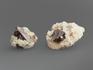 Циркон, кристаллы в породе 1,5-2,5 см, 13239, фото 2
