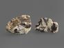 Циркон, кристаллы в породе 3,5-5,5 см, 13256, фото 2