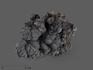 Голландит, 5,5-7 см (120-130 г), 10-592/3, фото 4