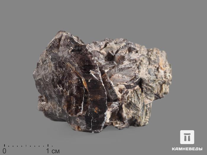 Аксинит-(Fe) с эпидотом, 3,5-5 см, 15559, фото 1