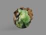 Анапаит в раковине, 2,8х2,2х2 см, 15935, фото 2