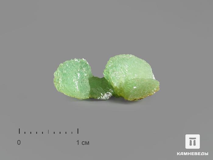 Анапаит в пластиковом боксе, 1,8х1х0,7 см, 15918, фото 1