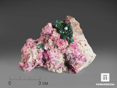 Малахит, Кобальтокальцит, Доломит, Азурит. Псевдоморфоза малахита по кристаллам азурита с кобальтовым кальцитом и доломитом, 7,6х5,8х2,6 см
